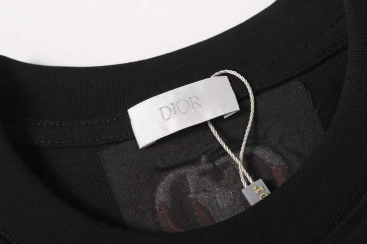 Dior T Shirts Short _SKUDiorS-2XL12dtr0116166